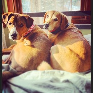 Meet your Posher, Anna